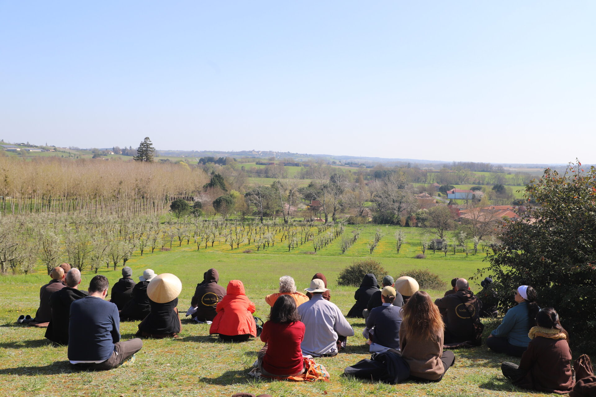 Mindful awareness community in Ireland